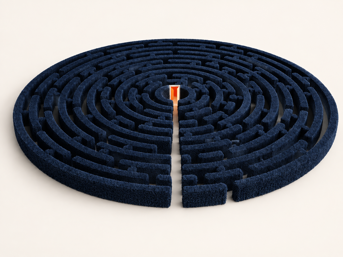 A clear route through a complex maze, representing structured regulatory and market access.